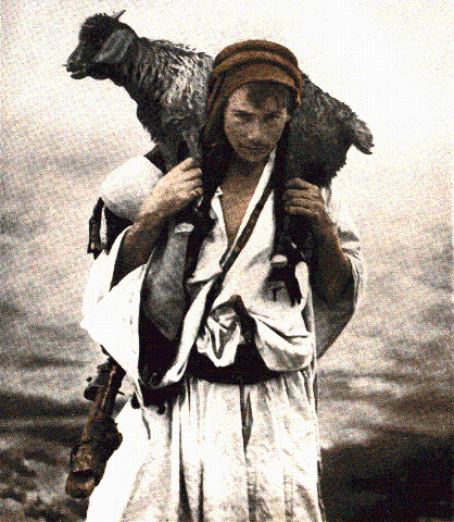 shepherd carrying sheep